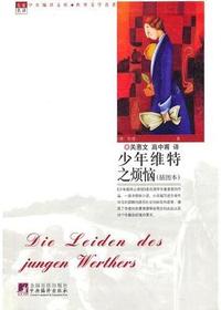 少年维特的烦恼*
