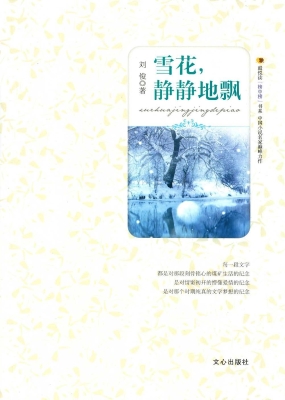 雪花，静静地飘