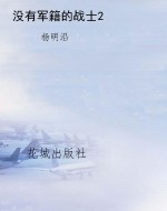 没有军籍的战士2