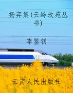 扬弃集（云岭玫苑丛书）