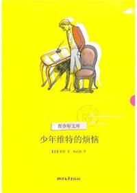 少年维特的烦恼