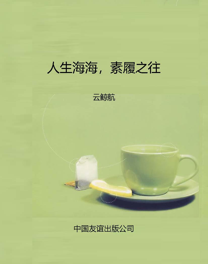 人生海海，素履之往
