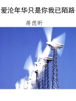 爱沦年华只是你我已陌