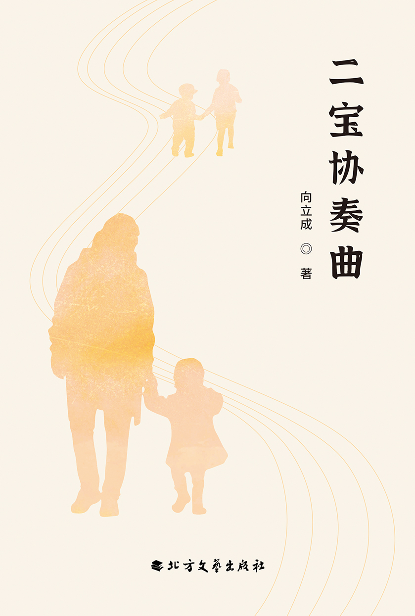 二宝协奏曲