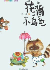 花背小乌龟