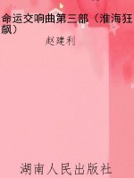 命运交响曲第三部（淮海