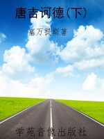 唐吉诃德(下)