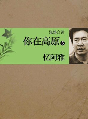 你在高原 第五部：忆阿