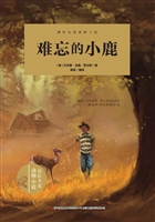 难忘的小鹿