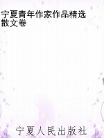 宁夏青年作家作品精选
