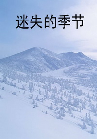 迷失的季节