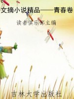 文摘小说精品——青春