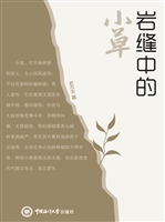 岩缝中的小草