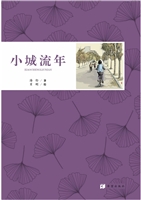 小城流年
