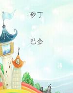 砂丁
