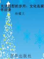 无法抚慰的岁月：文化名
