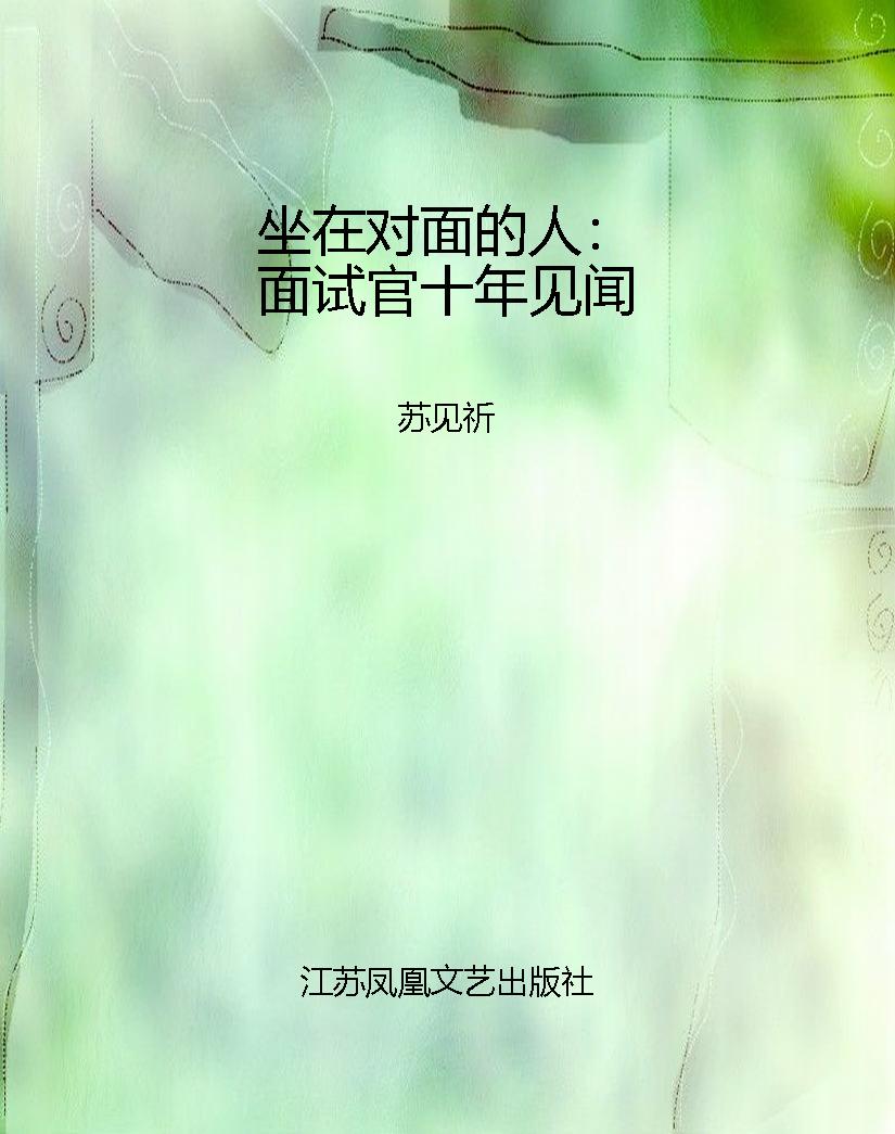 坐在对面的人：面试官十