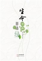 生命中的那抹绿