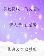 多重视域中的文艺学