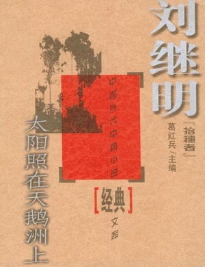 太阳照在天鹅洲上