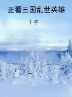 正看三国乱世英雄