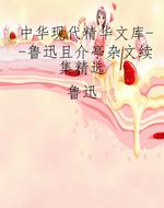 中华现代精华文库--鲁