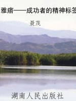 雅痞——成功者的精神