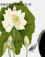 讲给中学生的课外知识