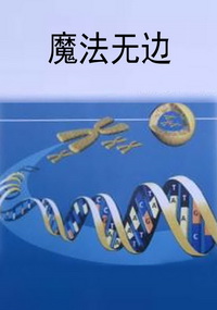 魔法无边