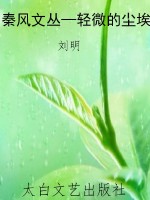 秦风文丛—轻微的尘埃