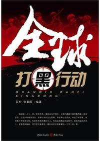 全球打黑行动