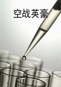空战英豪