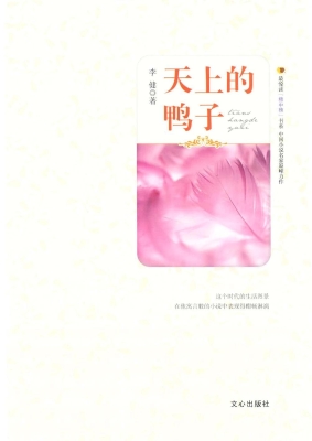 天上的鸭子