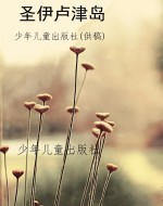 圣伊卢津岛