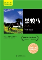 黑骏马