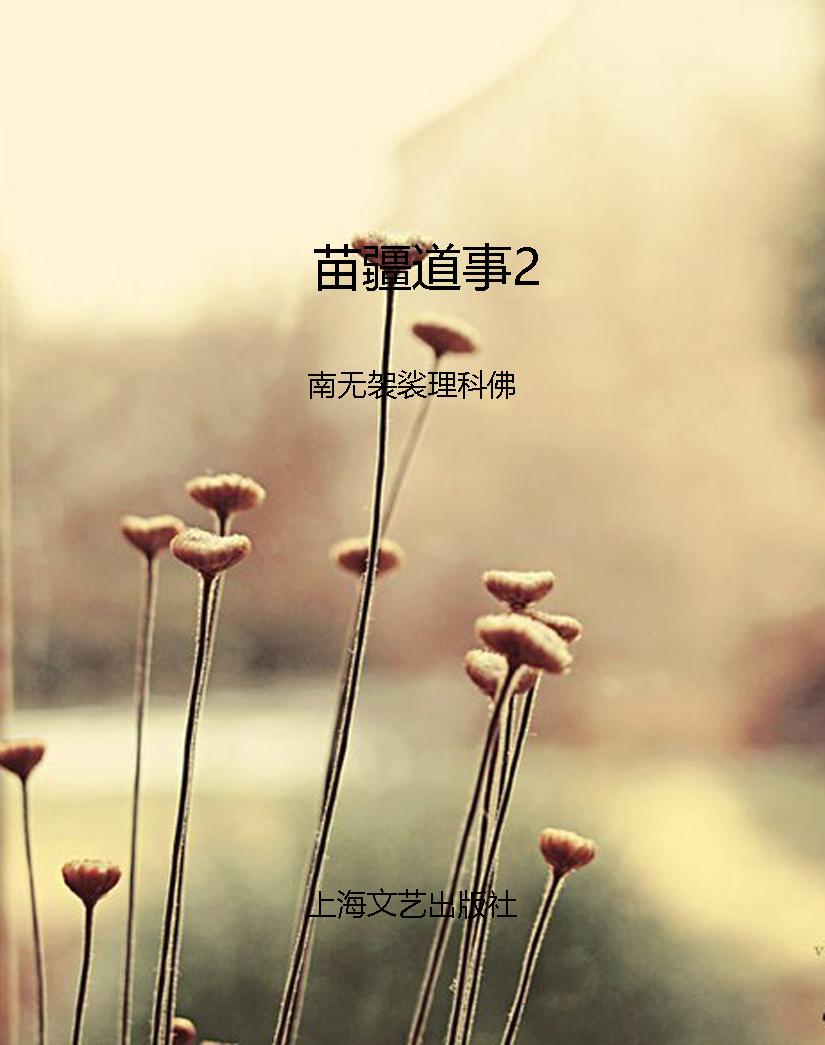 苗疆道事2