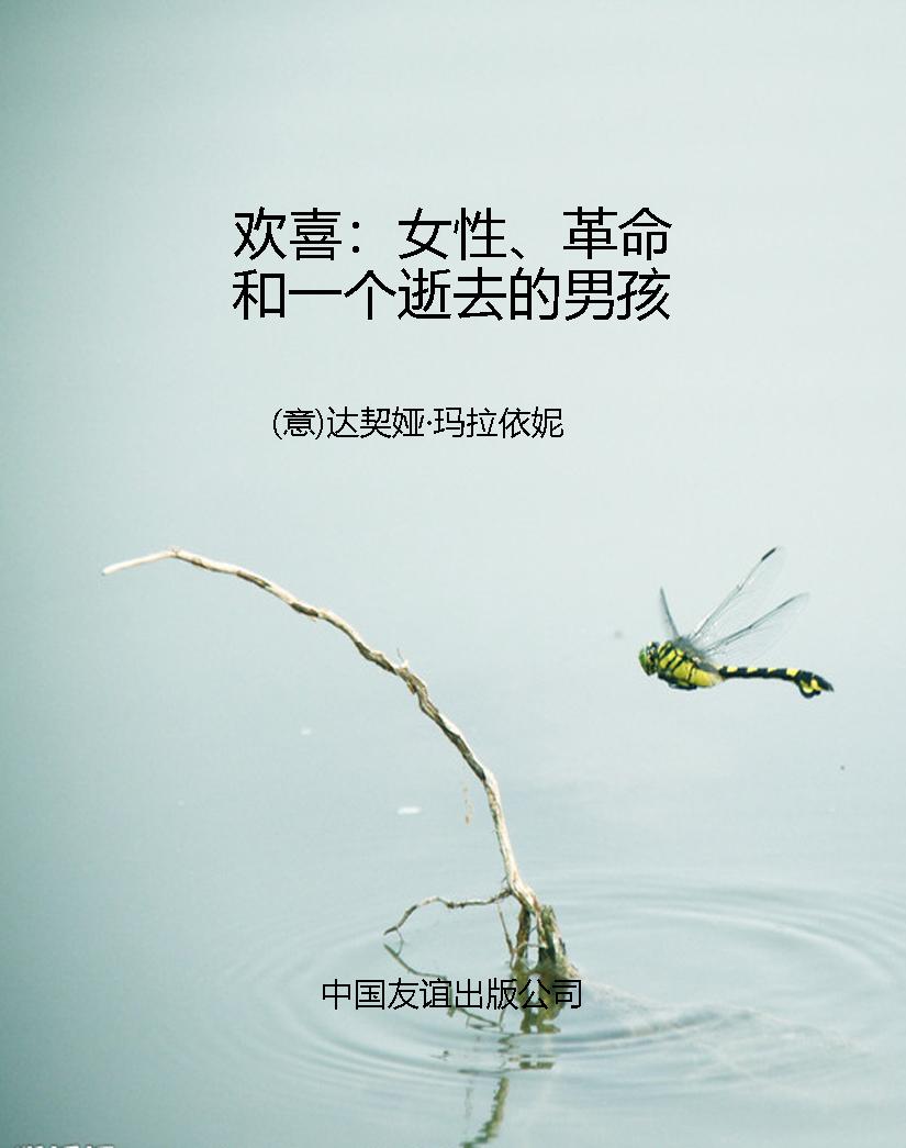 欢喜：女性、革命和一个