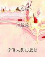 风之碎