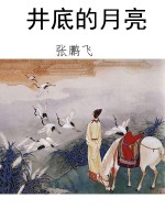 井底的月亮