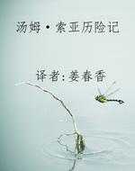 汤姆·索亚历险记