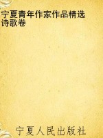 宁夏青年作家作品精选
