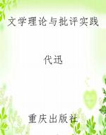 文学理论与批评实践