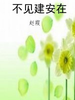 不见建安在