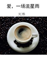 爱，一场流星雨