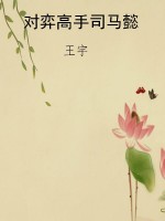 对弈高手司马懿