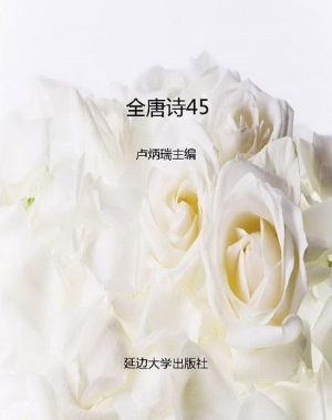 全唐诗45