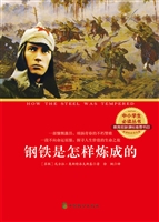 钢铁是怎样炼成的