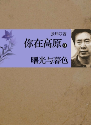 你在高原 第八部：曙光