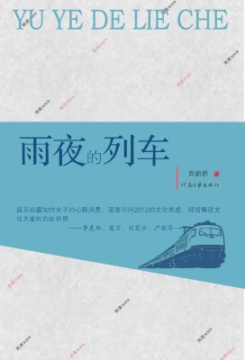 雨夜的列车