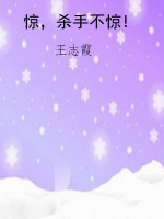 惊，杀手不惊!
